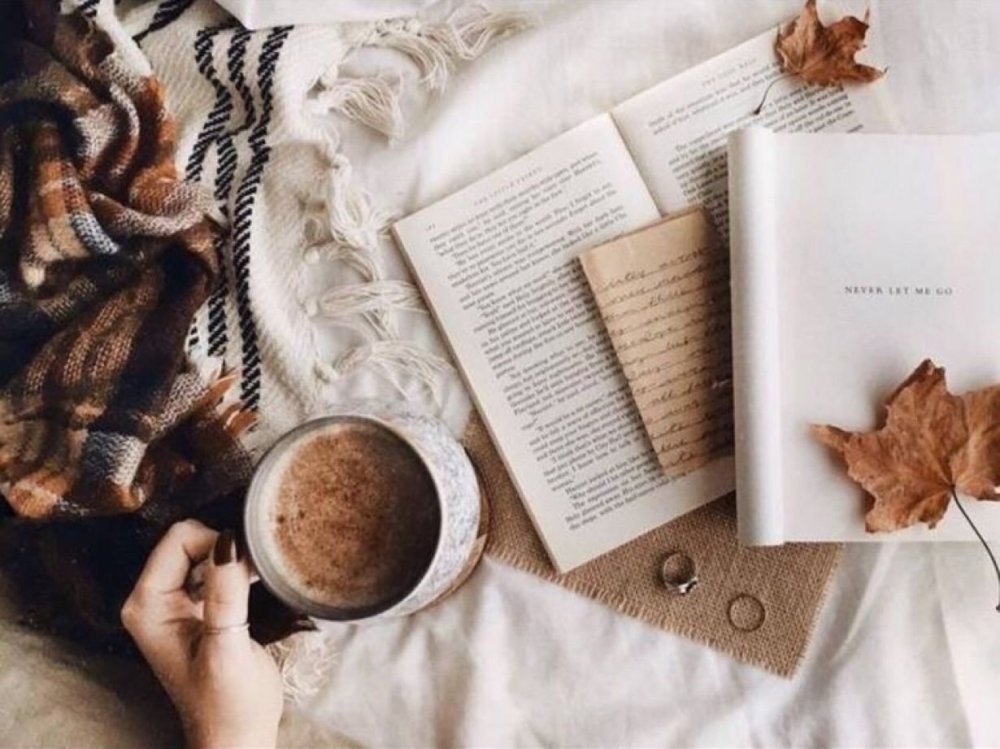 Темная комната с книжными полками