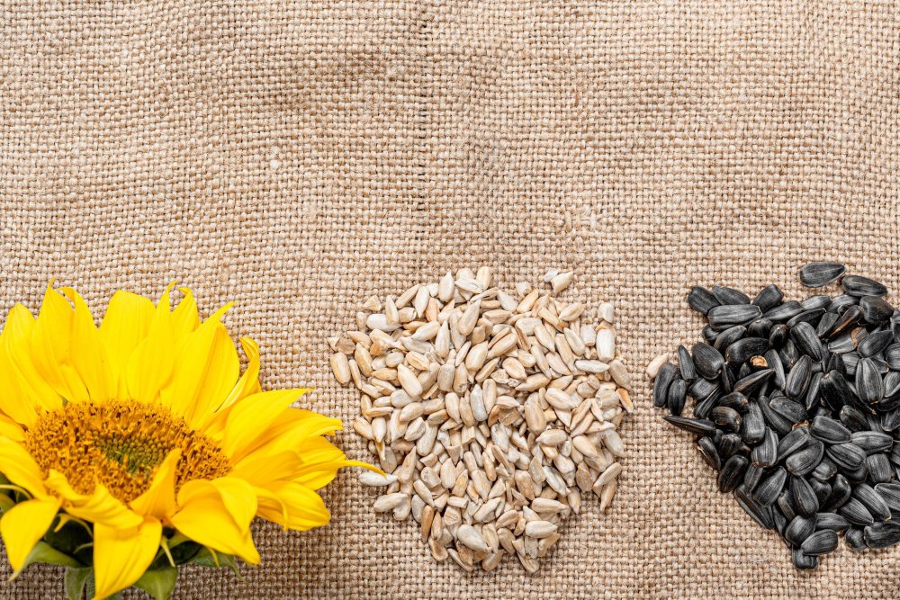 Подсолнечник семена и масло