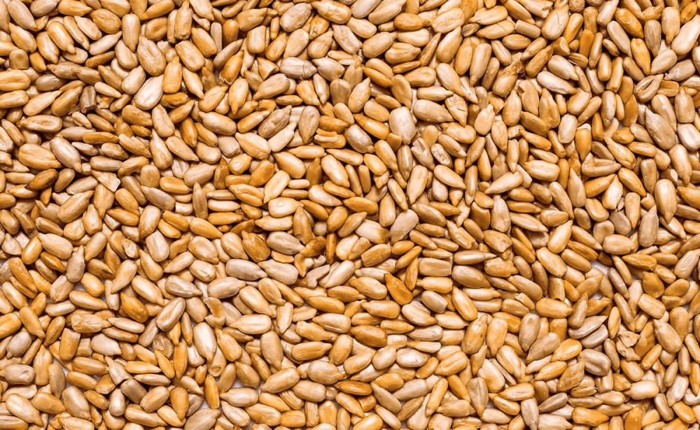 Семечки текстура