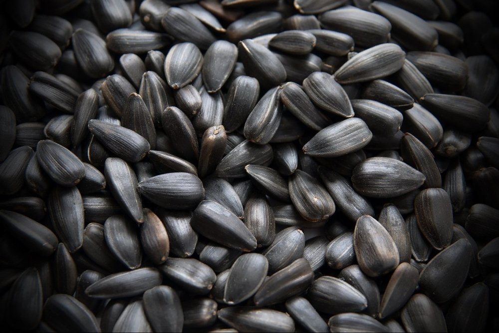 Семечки и подсолнух на столе
