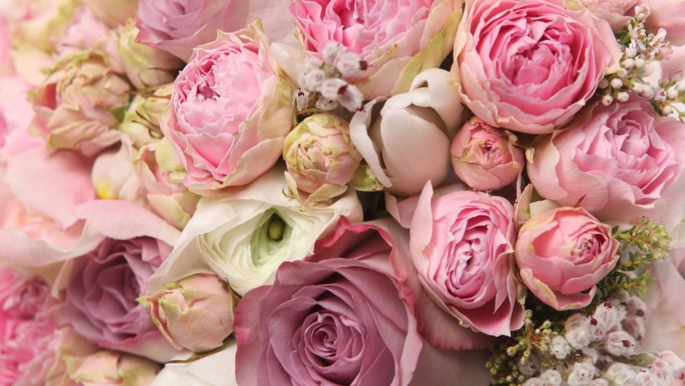 Обложка сообщества цветы