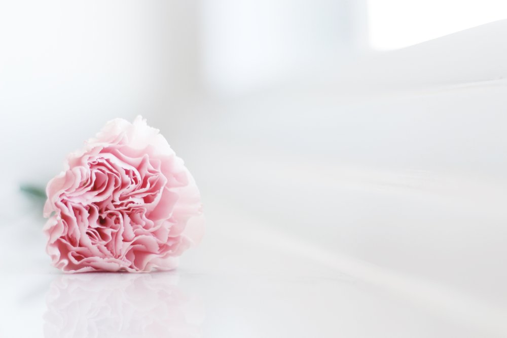 Пионы Стикеры