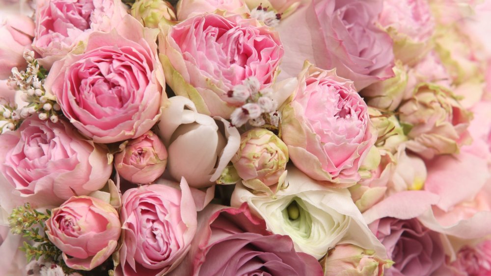 Зефирные пионы