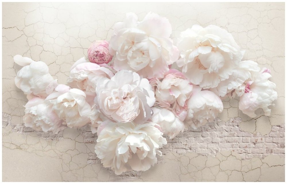 Фон цветочный серо розовый