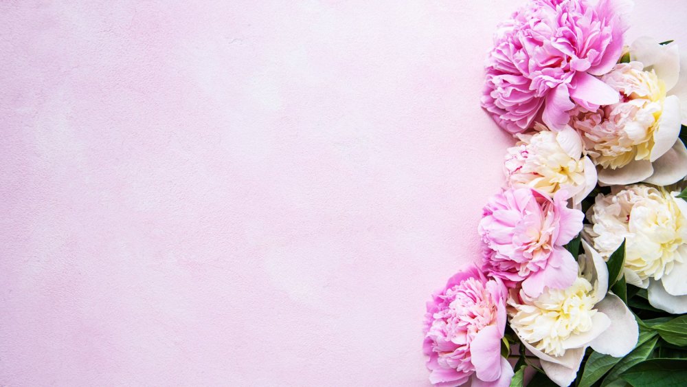 8-976 Фотообои Komar