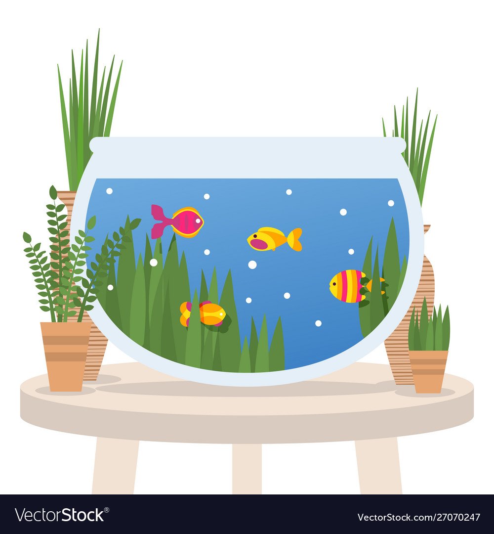 Аквариум для детей