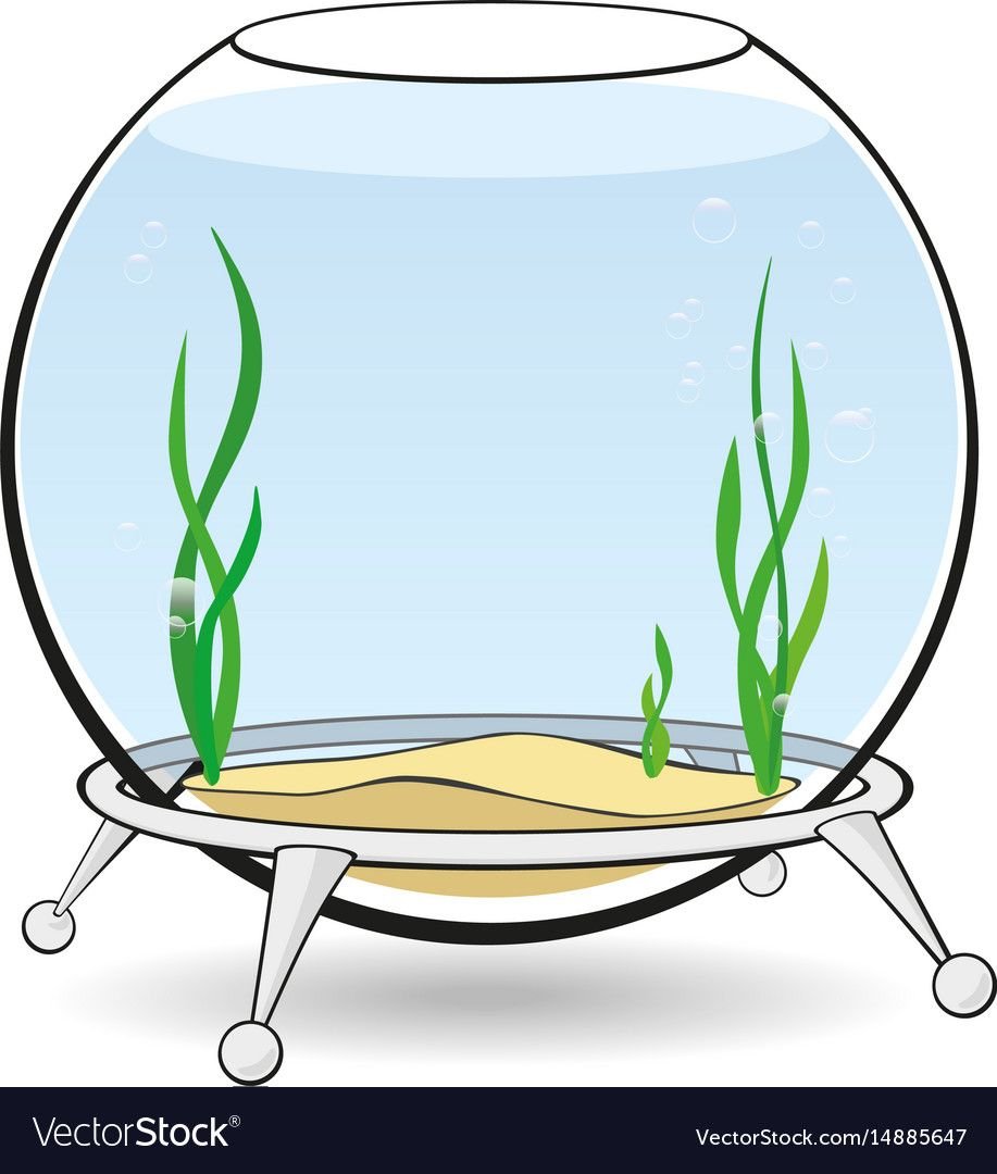 Аквариум с водой для аппликации