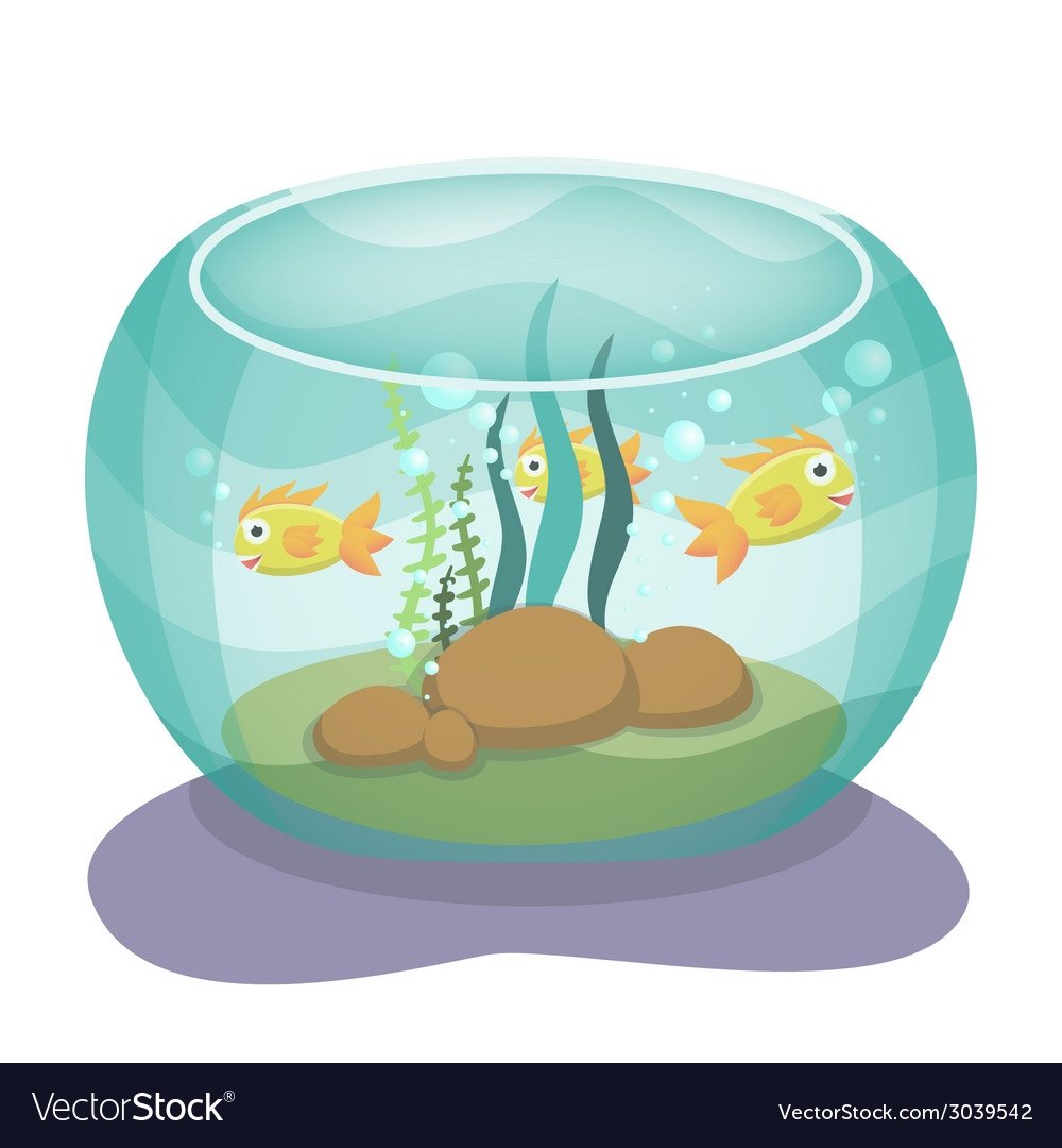 Аквариум на прозрачном фоне без рыбок