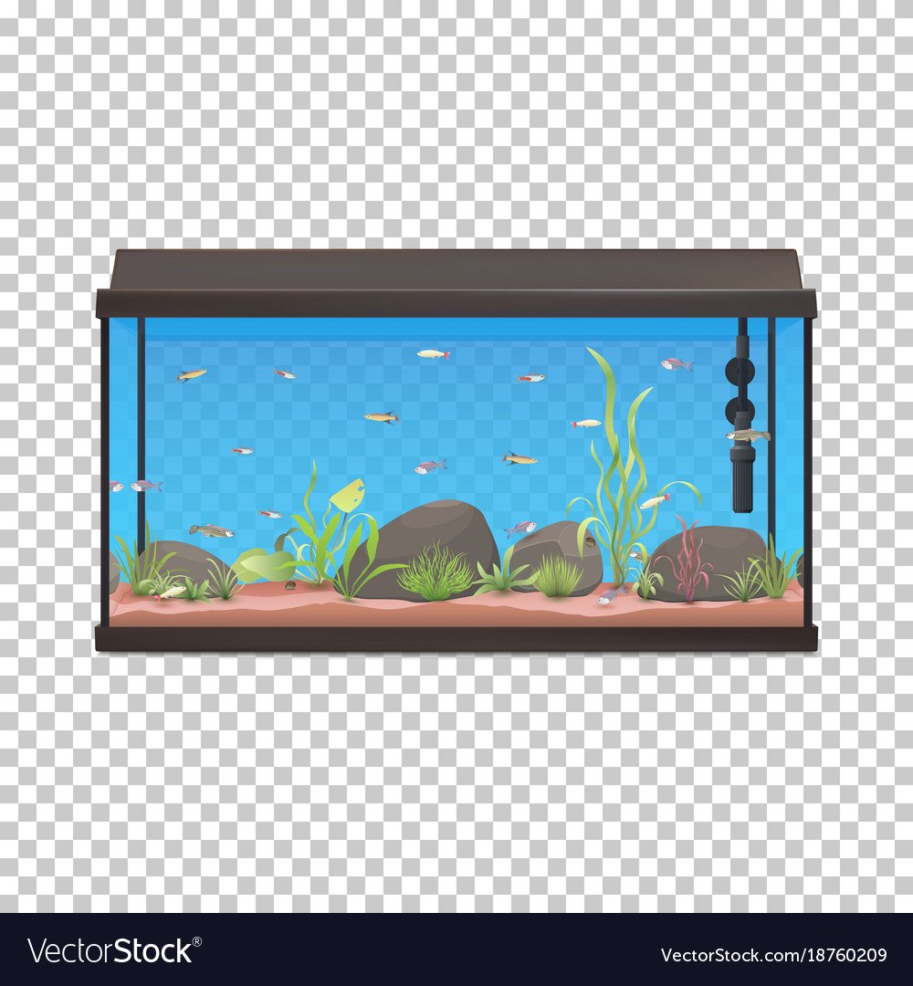 Аквариум квадратный без рыбок