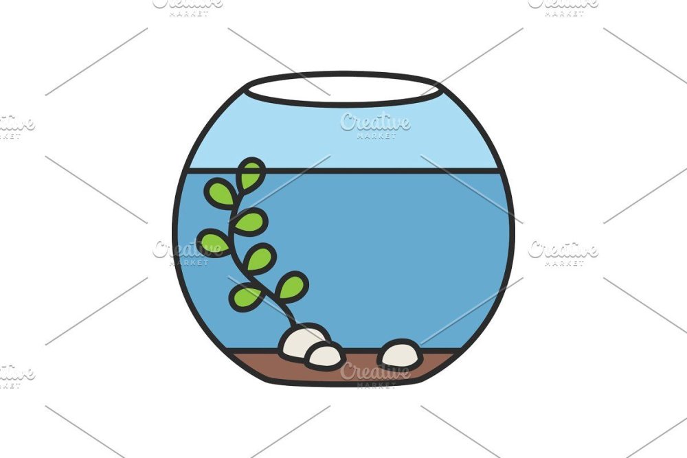 Аквариум пустой