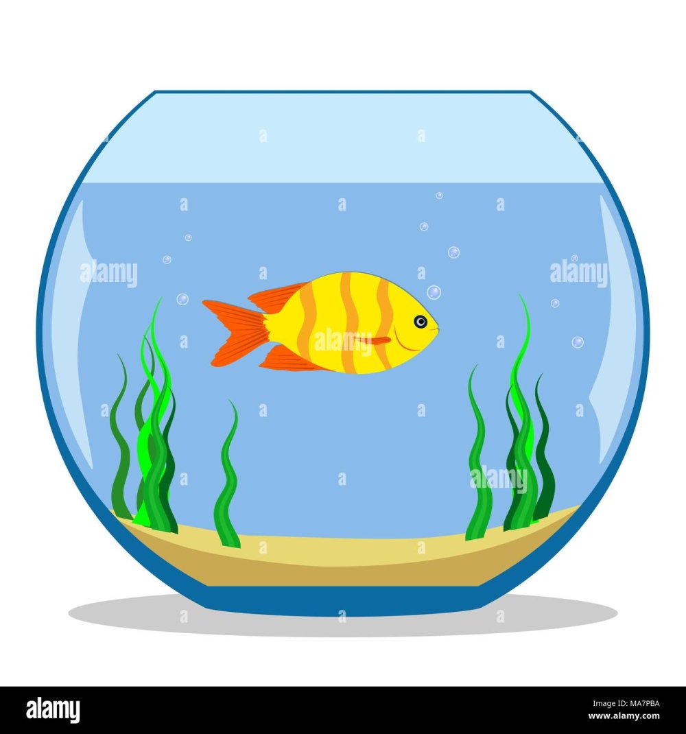 Аквариум векторный в интерьере
