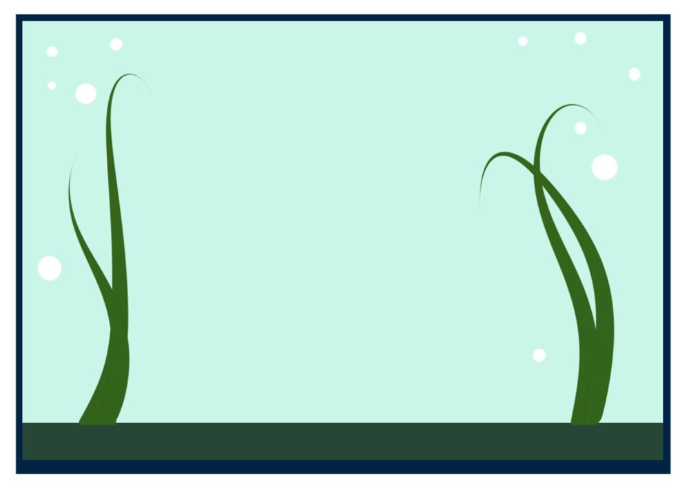 Круглый аквариум без рыбок