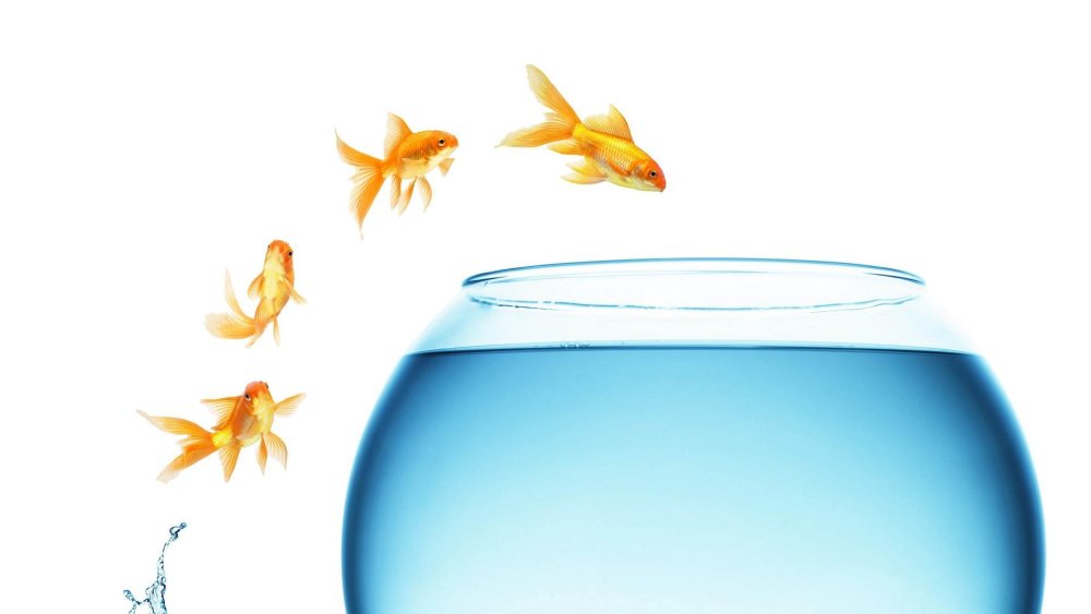 Морское дно фон для аппликации