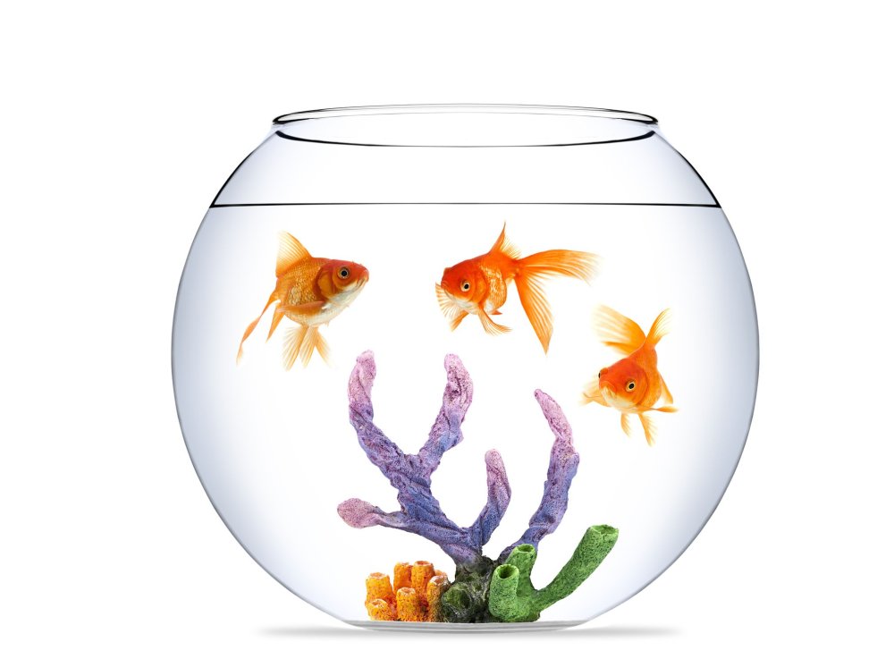 Морское дно мультяшное