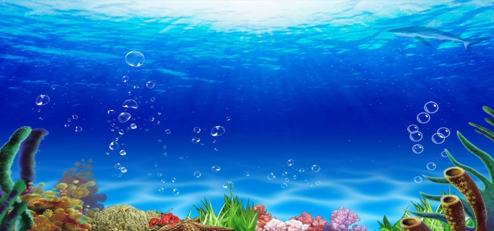 Морское дно без рыб