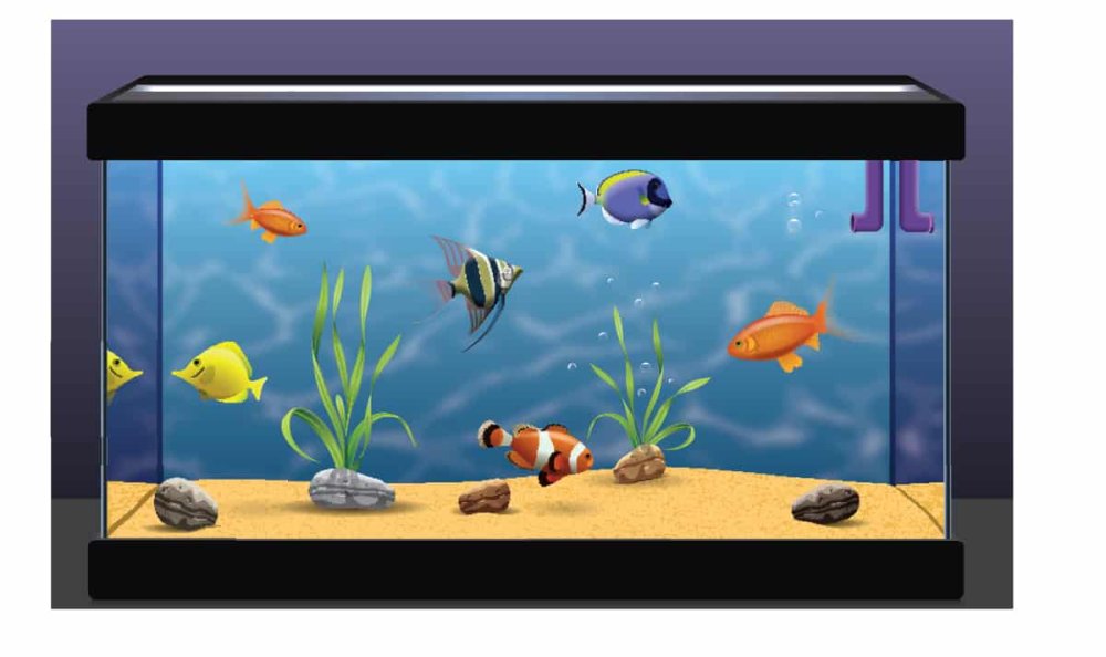 Аквариум для дошкольников