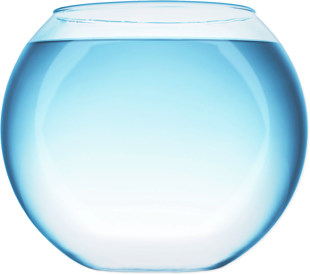 Aquarium trip рисунок для детей