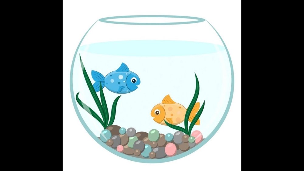 Подводный пейзаж