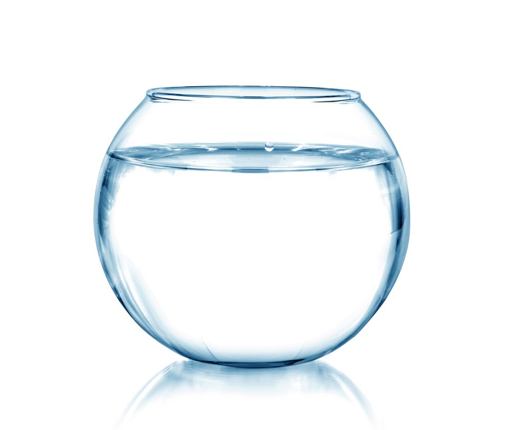 Рыбка в аквариуме иконка