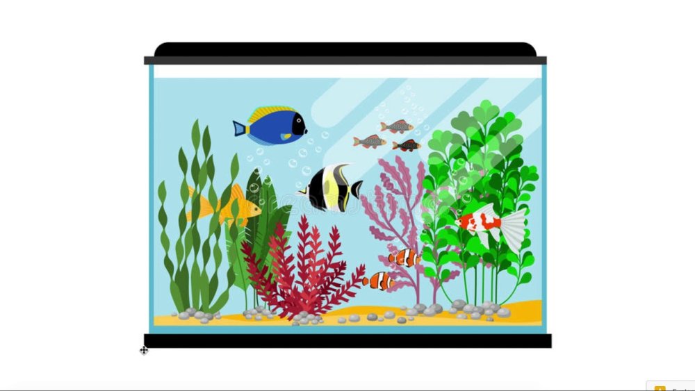 Сказочный подводный мир