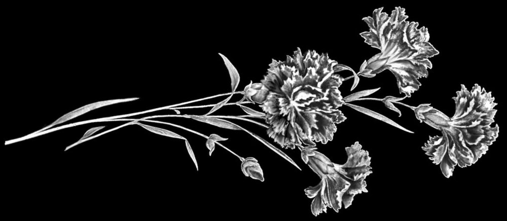 Гвоздики для гравировки на памятник