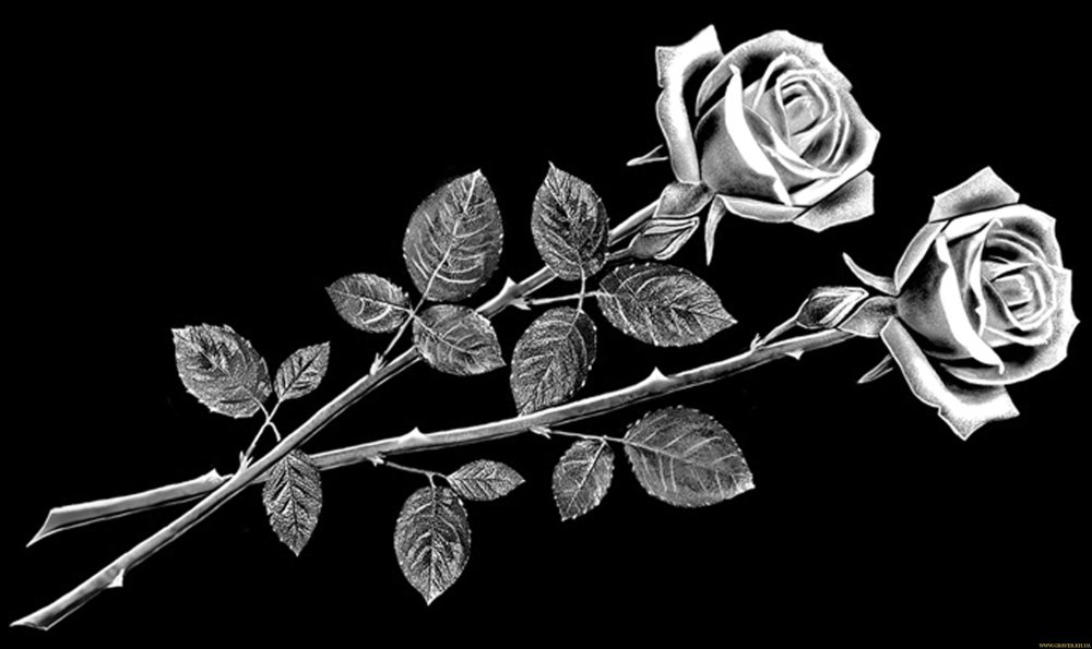 Букет роз для гравировки