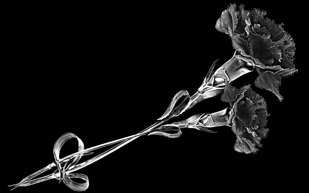 Гвоздики на памятник