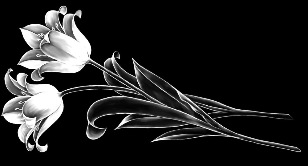 Лилия гравировка