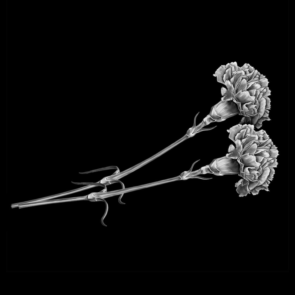 Розы на гранит отретушированные