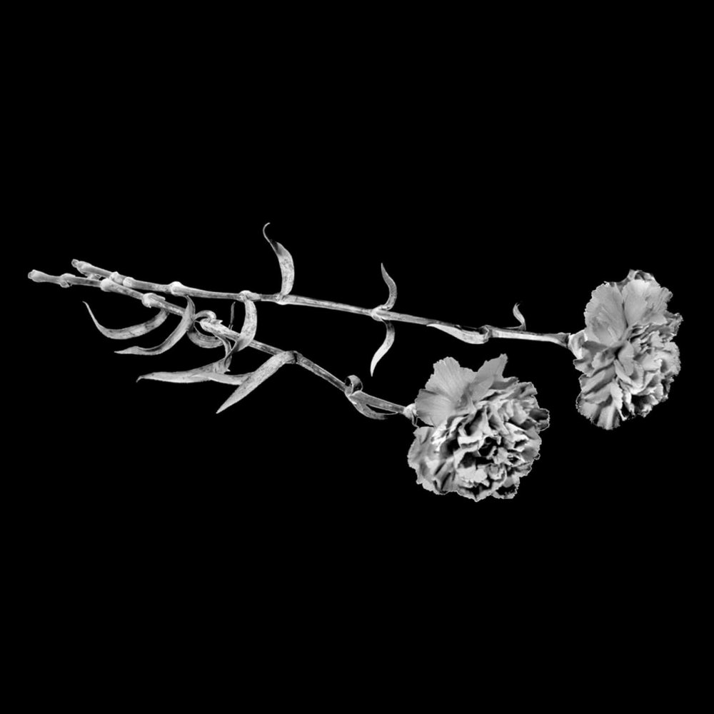 Гвоздики для гравировки на памятник