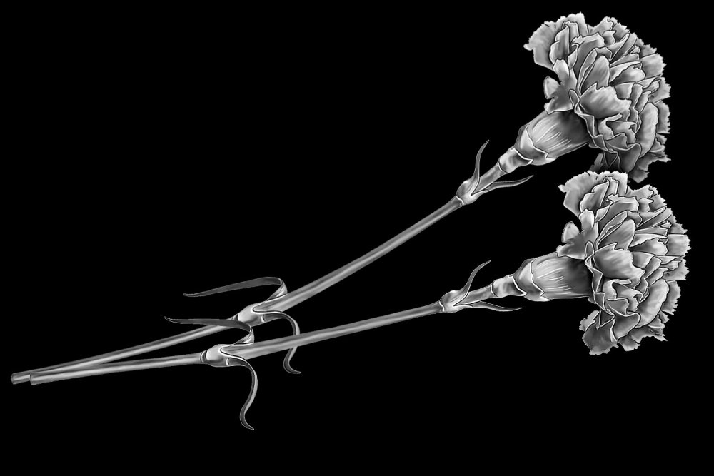 Гвоздики гравировка