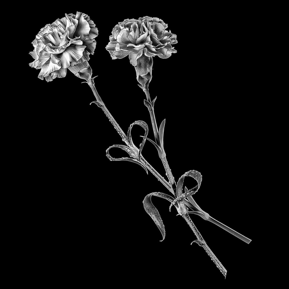 Гвоздики на памятник