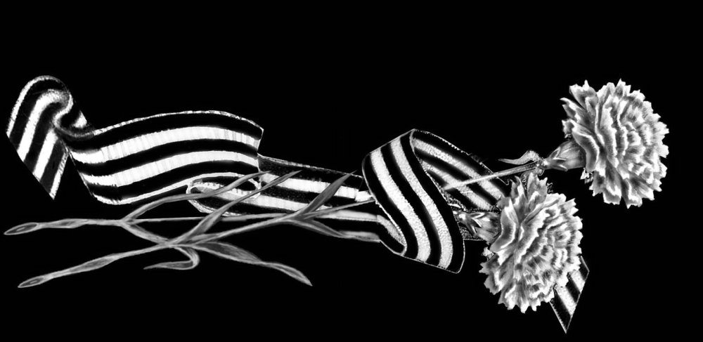 Розы для гравировки на памятниках