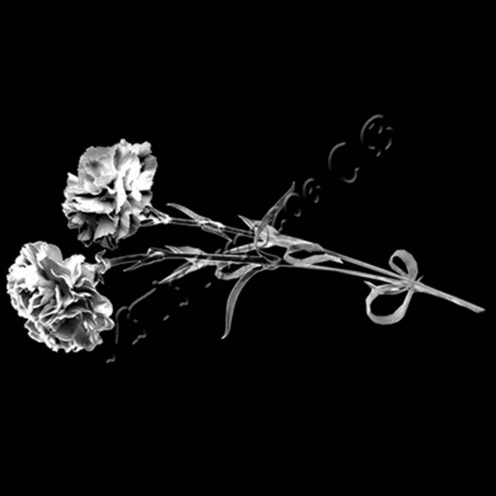 Гвоздики на граните