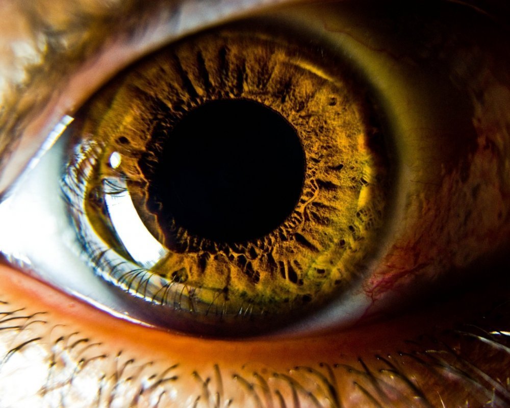 Темно карие глаза