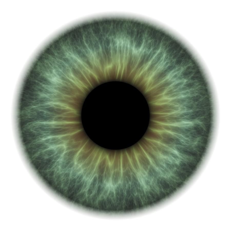 Вертикальные зрачки