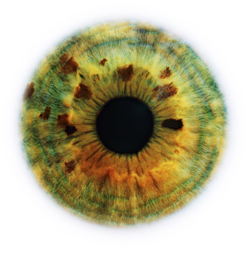 Человеческий глаз