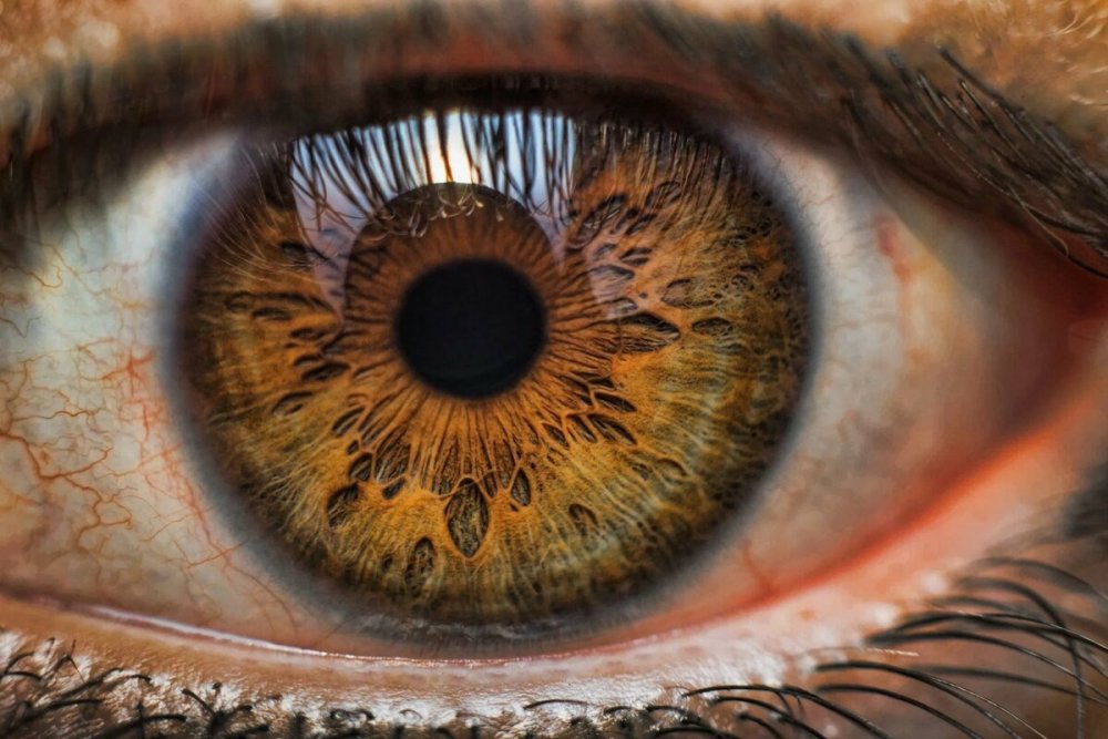Макросъемка глаза