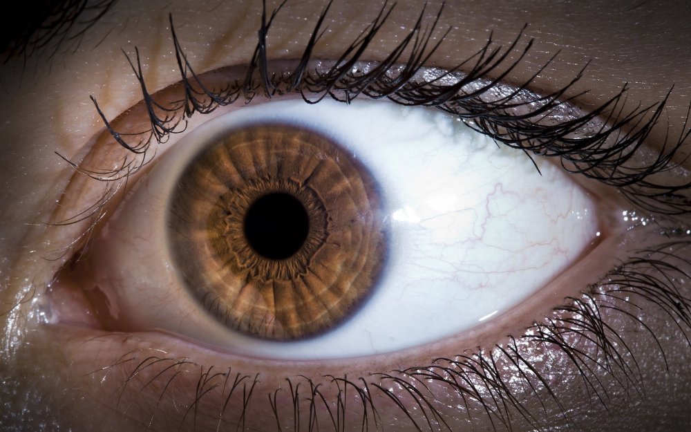 Коричневая радужка глаза