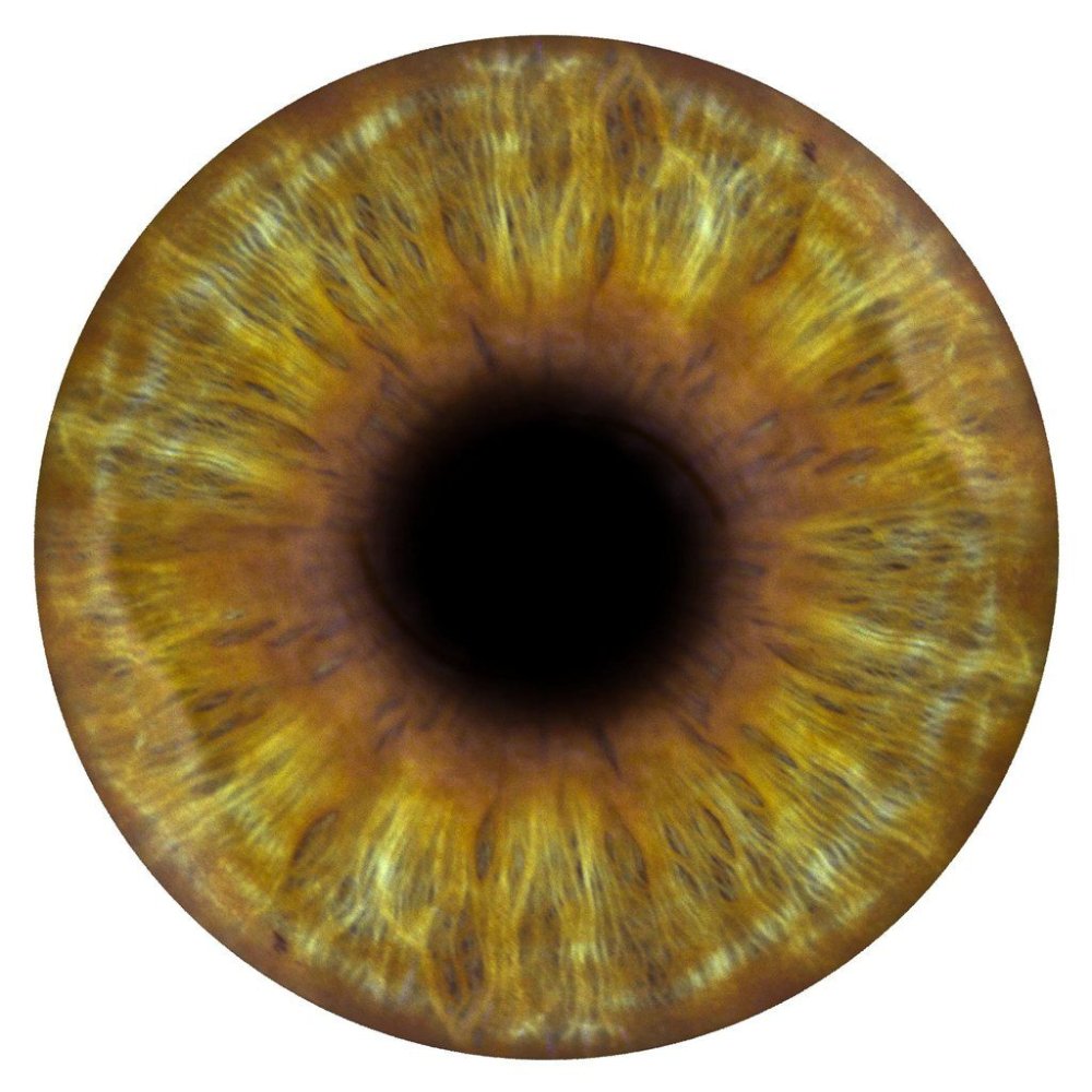 Карий зрачок