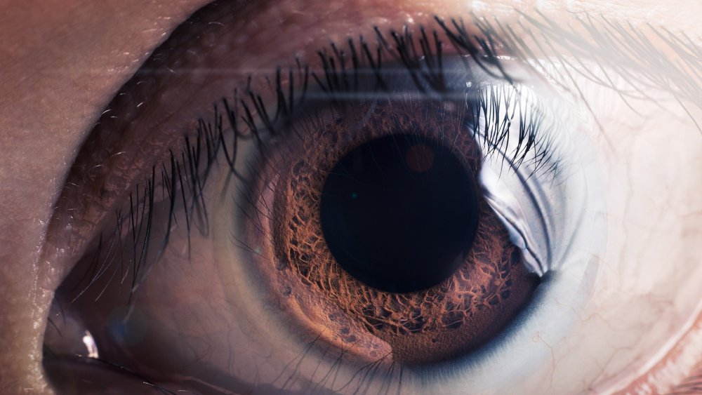 Глаз макро