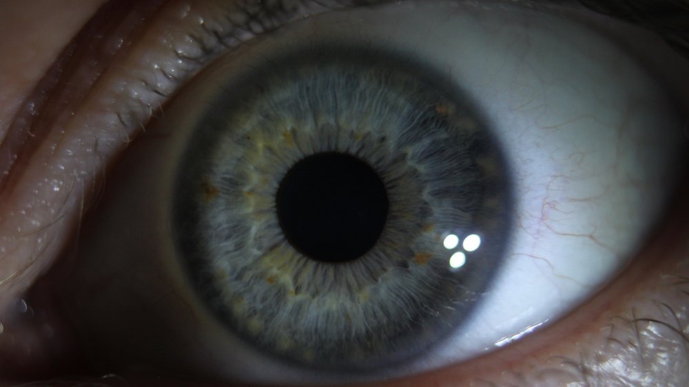 Глаза зрение
