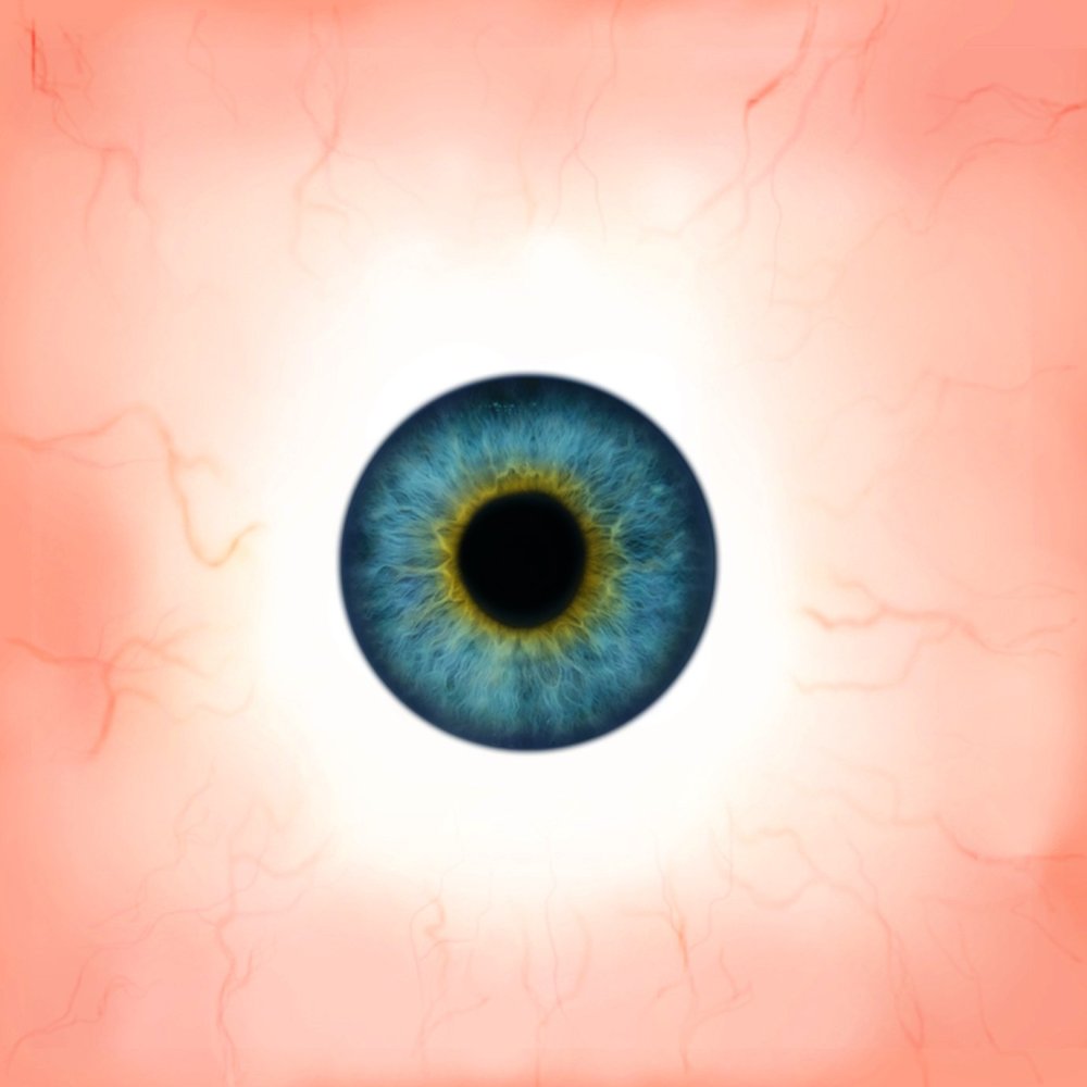Цвета радужной оболочки глаза