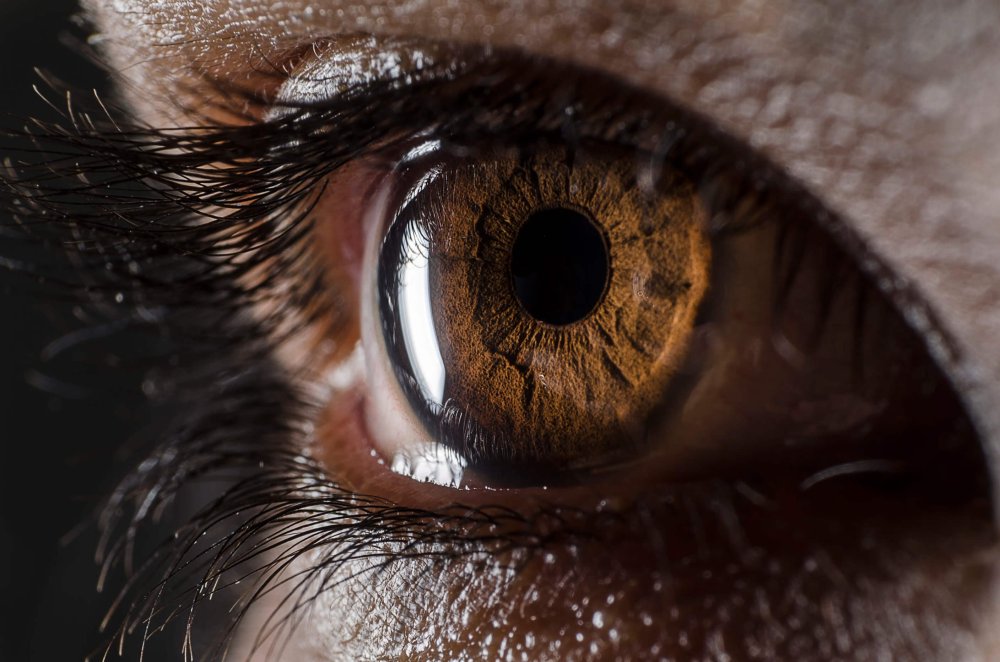 Радужка и зрачок