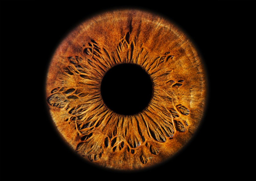 Карий зрачок