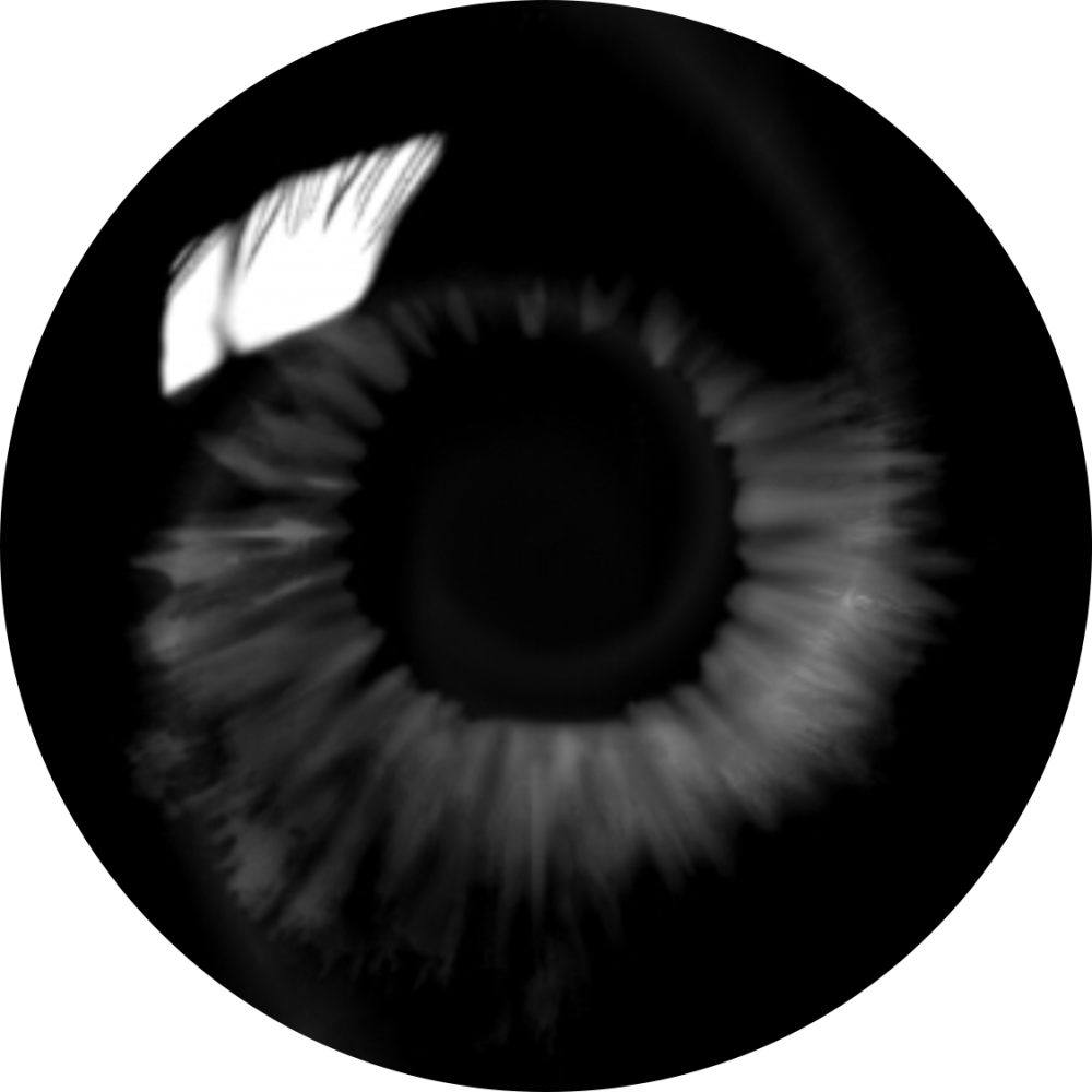 Зрачок глаза