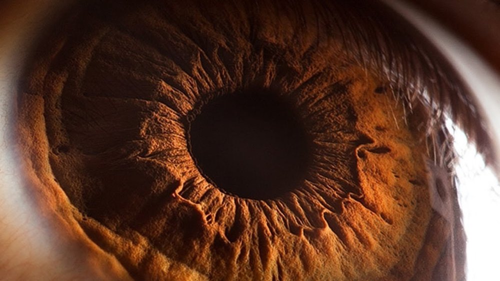 Ярко карие глаза