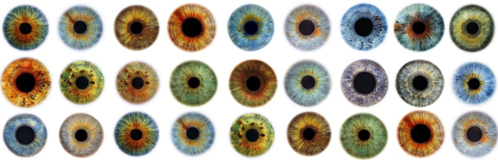 Радужка карих глаз