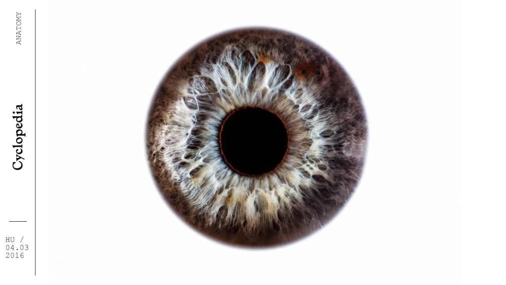 Прозрачная радужка глаза