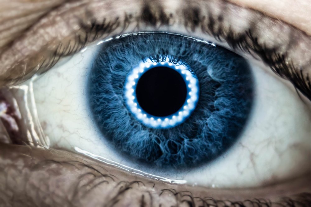Радужка глаза